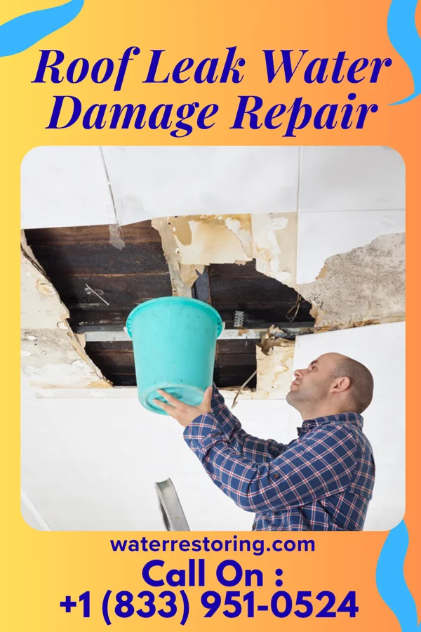Roof Leak Water Damage Repair in Los Veteranos I, TX